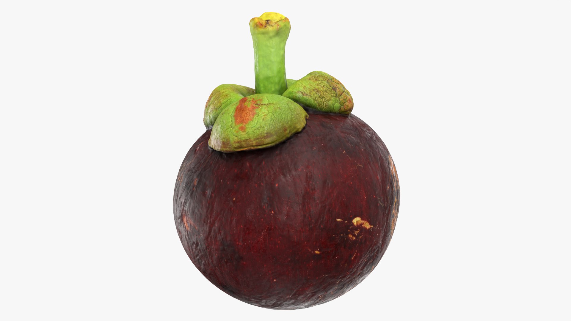 Mangosteen 02 3D model https://p.turbosquid.com/ts-thumb/EV/uR5IzL/pL/mangosteen02_0007/png/1763831154/1920x1080/fit_q87/4161fb89c520db68fb72b73273aaa74ec04b077d/mangosteen02_0007.jpg