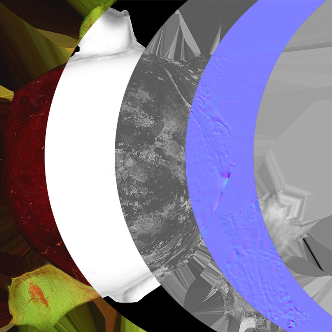 Mangosteen 02 3D model https://p.turbosquid.com/ts-thumb/EV/uR5IzL/w4/mangosteen02_c0005/png/1763831166/1920x1080/fit_q87/c5c8f7eb96e7d3e052672e2515e61a69203c5ce5/mangosteen02_c0005.jpg