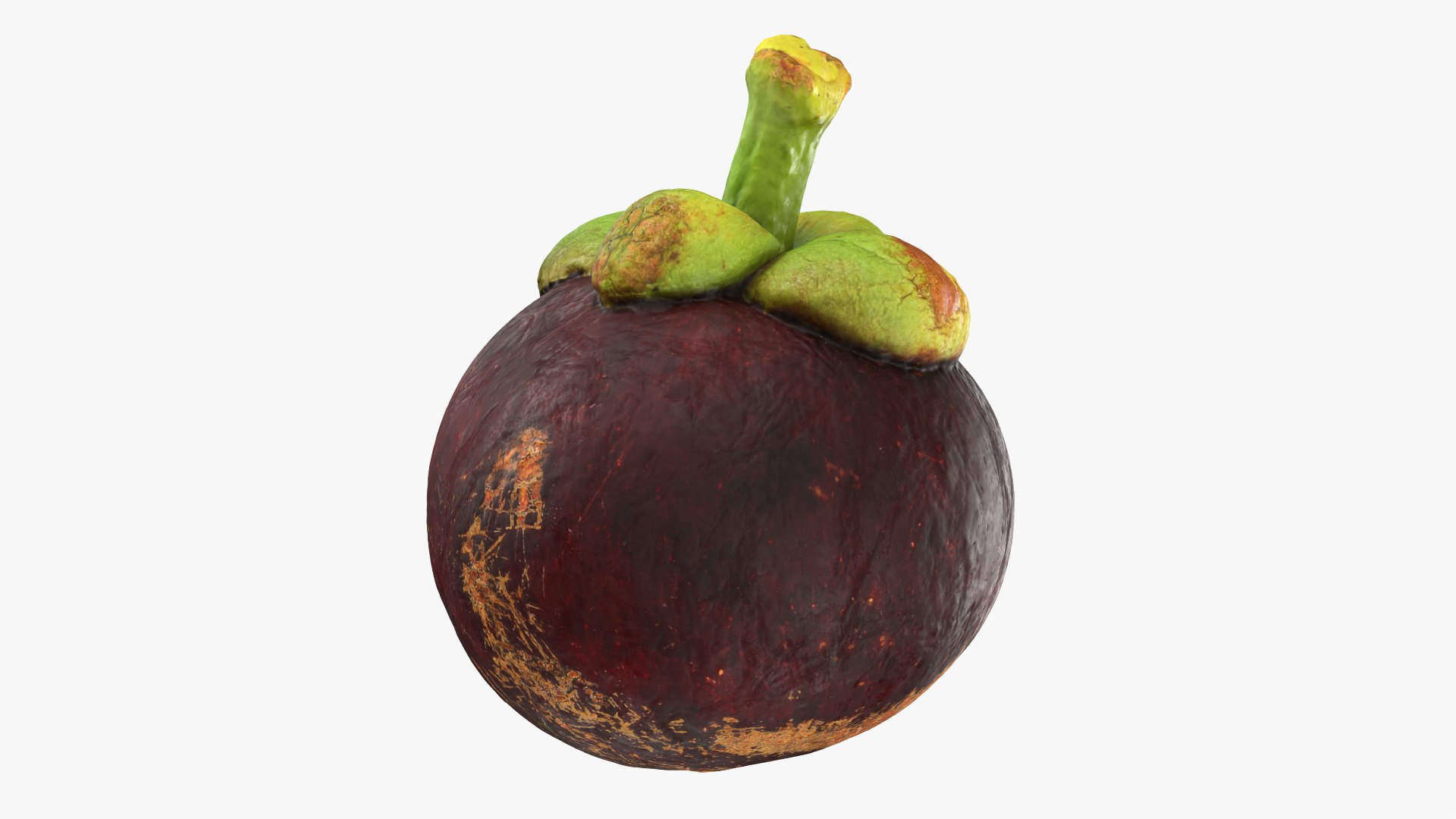 Mangosteen 02 3D model https://p.turbosquid.com/ts-thumb/EV/uR5IzL/we/mangosteen02_0002/png/1763831146/1920x1080/fit_q87/49cde034f3c44f9f2a7ef775924b2e023749f347/mangosteen02_0002.jpg