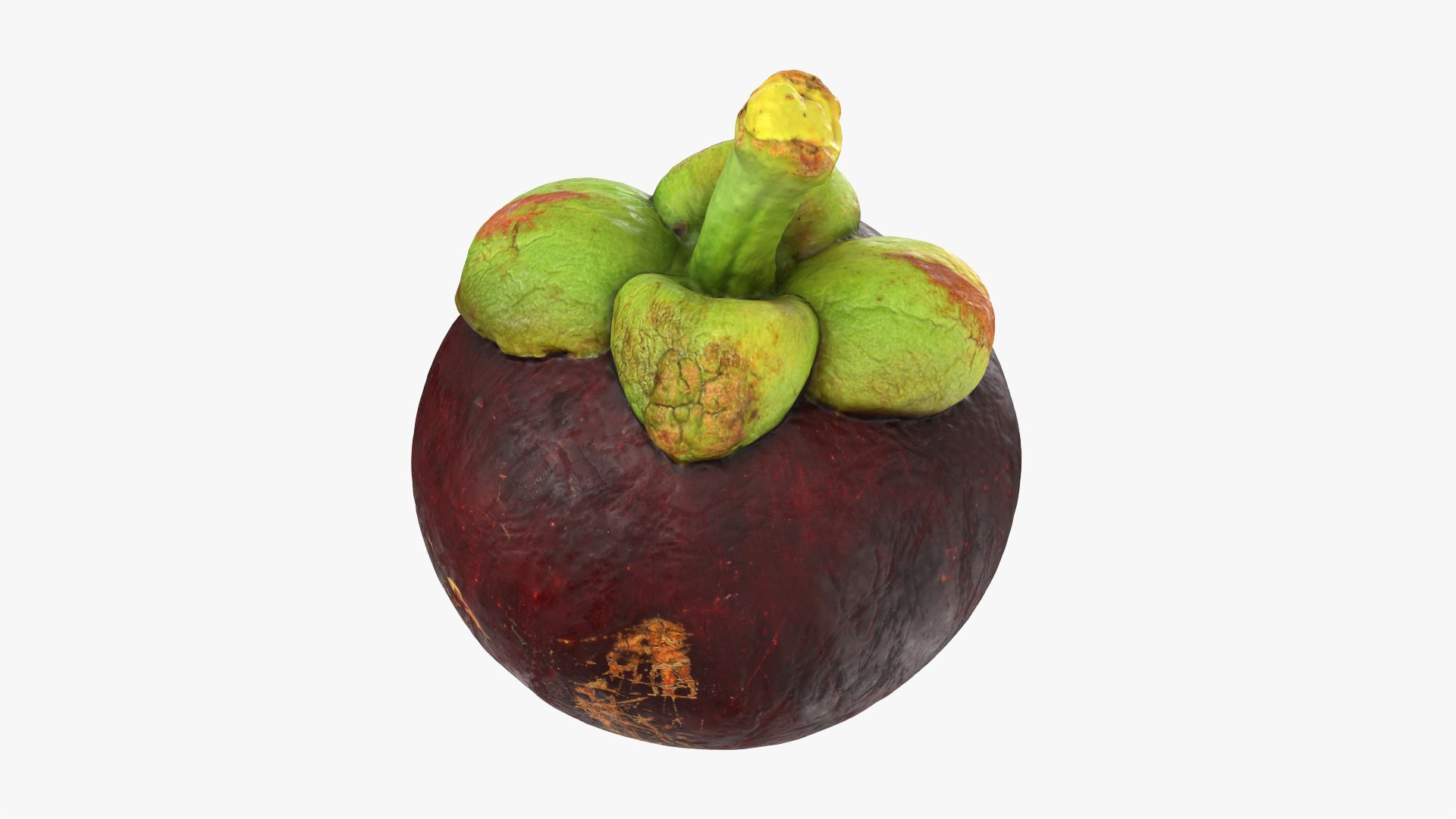 Mangosteen 02 3D model https://p.turbosquid.com/ts-thumb/EV/uR5IzL/z2/mangosteen02_0003/png/1763831150/1920x1080/fit_q87/7bf17745a5dbf1c419a3ffbd7d618aa32290ac12/mangosteen02_0003.jpg