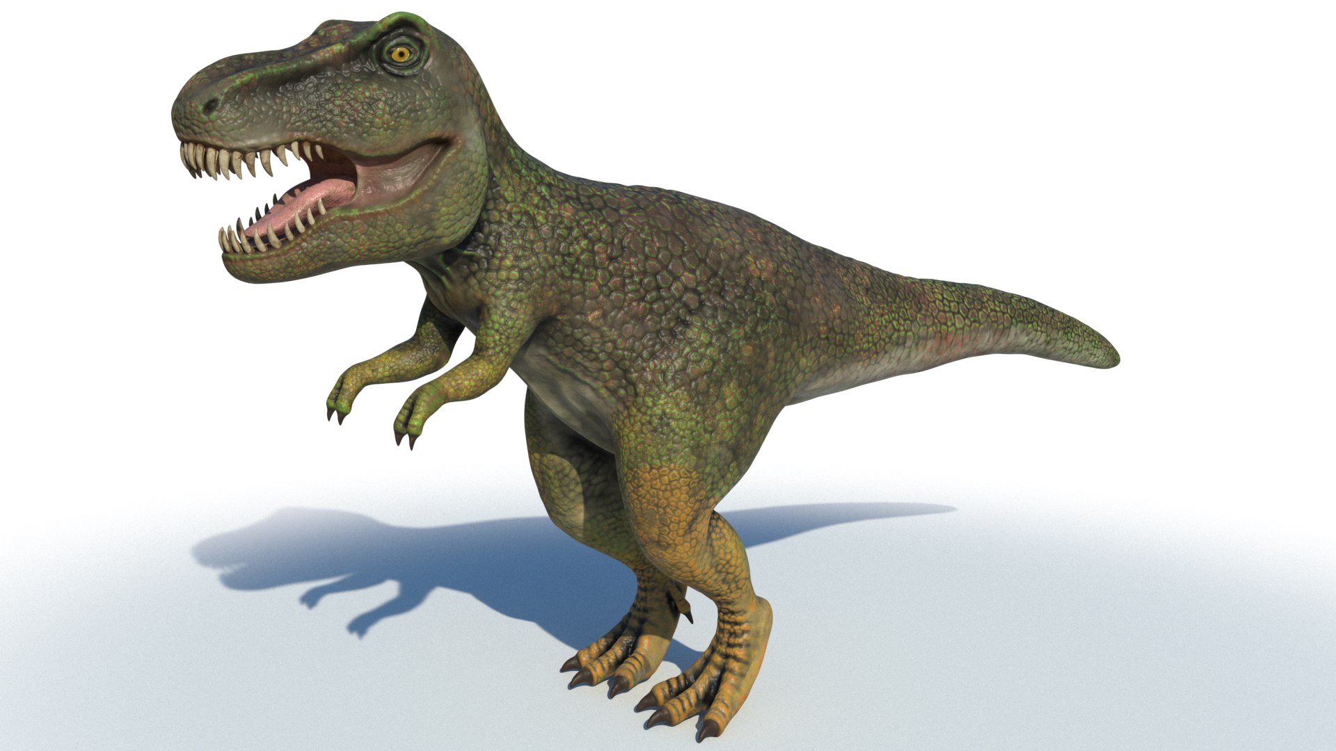 google dinosaur t-rex 3D Model in Computer 3DExport