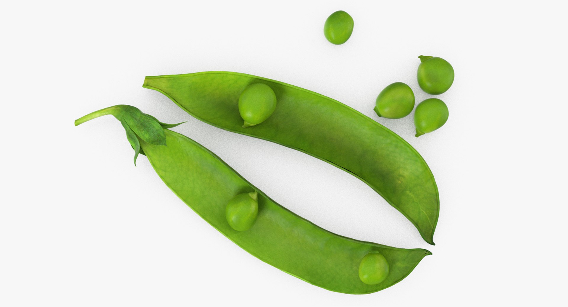 peas open pod model https://p.turbosquid.com/ts-thumb/EV/xBDuRx/2RoXYVD2/peasonopenpod3dsmodel009/jpg/1511360078/1920x1080/fit_q87/15f99e447aec600f1514b635ed8b7bb8574bbbdb/peasonopenpod3dsmodel009.jpg
