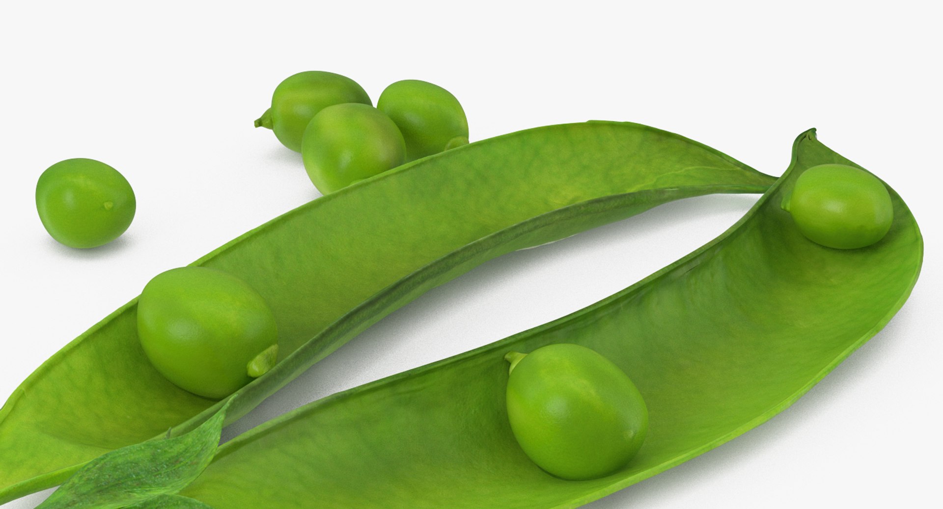 peas open pod model https://p.turbosquid.com/ts-thumb/EV/xBDuRx/FmPIfJWW/peasonopenpod3dsmodel006/jpg/1511360054/1920x1080/fit_q87/9891a011362b4db5e44ff48ead14a68617a92821/peasonopenpod3dsmodel006.jpg