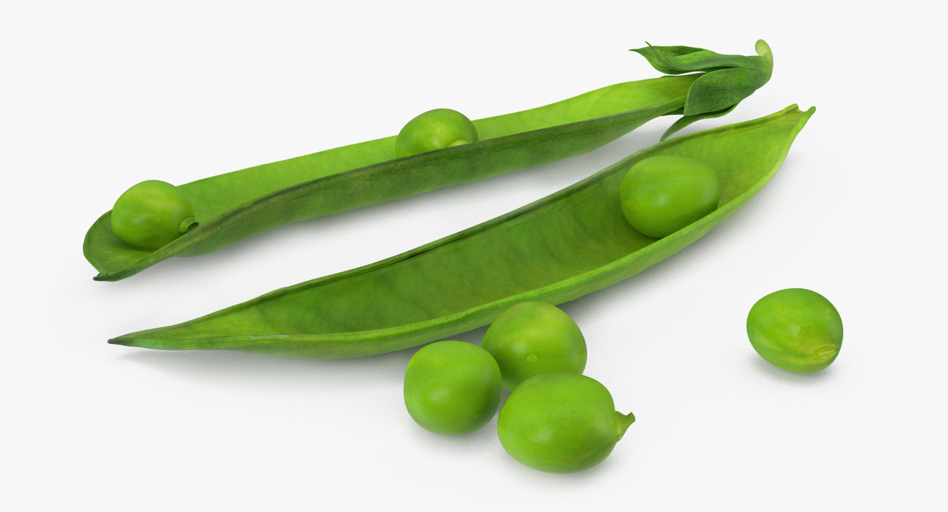 peas open pod model https://p.turbosquid.com/ts-thumb/EV/xBDuRx/lrwAtYtE/peasonopenpod3dsmodel004/jpg/1511360047/1920x1080/fit_q87/1ab8ce798e6d7d5473dfcefa797028dc82ae5cce/peasonopenpod3dsmodel004.jpg