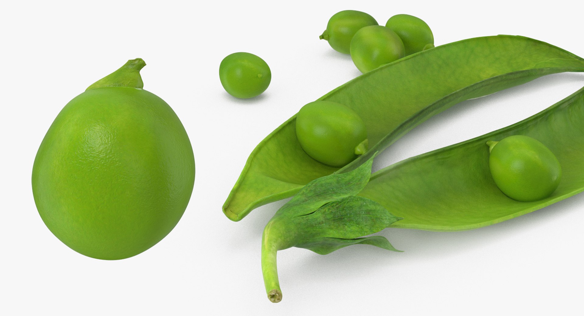peas open pod model https://p.turbosquid.com/ts-thumb/EV/xBDuRx/uKYg3f6Y/peasonopenpod3dsmodel005/jpg/1511360050/1920x1080/fit_q87/5c0e1656fcd470bd3771e0c3e387eb5d18932a99/peasonopenpod3dsmodel005.jpg