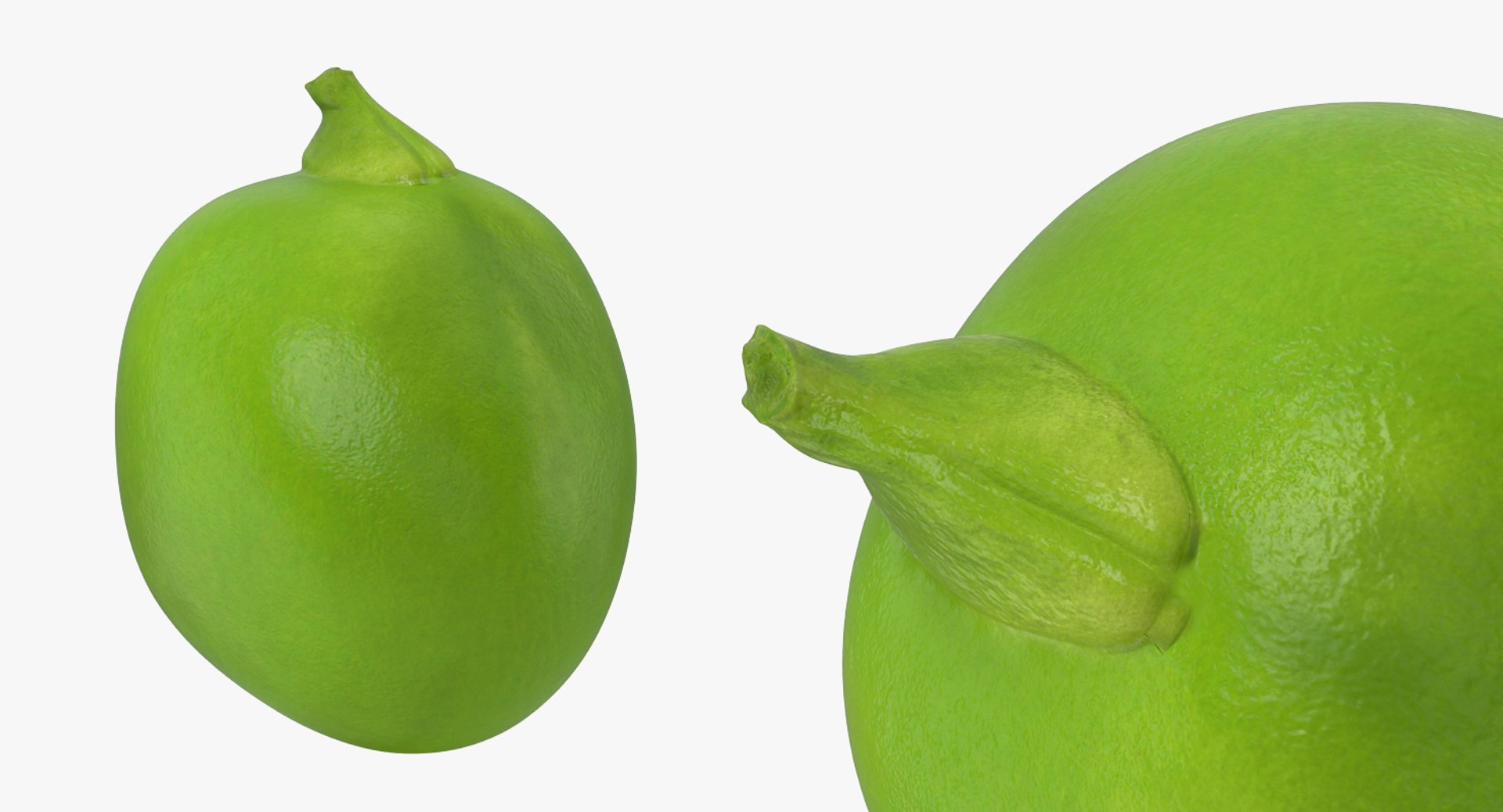 peas open pod model https://p.turbosquid.com/ts-thumb/EV/xBDuRx/ztCqRLn6/peasonopenpod3dsmodel008/jpg/1511360073/1920x1080/fit_q87/b38c3f118eb042f4c5c38731ac174878c029551b/peasonopenpod3dsmodel008.jpg
