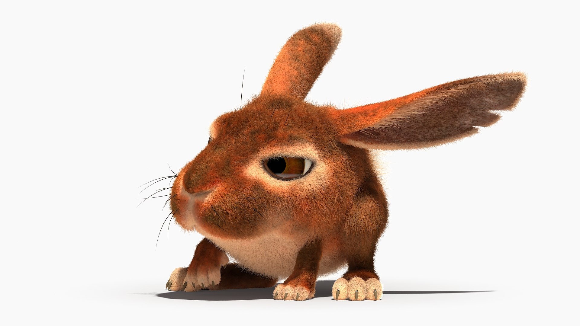 3d model of rabbit character rig https://p.turbosquid.com/ts-thumb/EW/6Ifyn1/0S/rabbitd0033/jpg/1630127143/1920x1080/fit_q87/1dc0e69ec4d7a46dba2f8f40c9a5f596f9f3b5e9/rabbitd0033.jpg