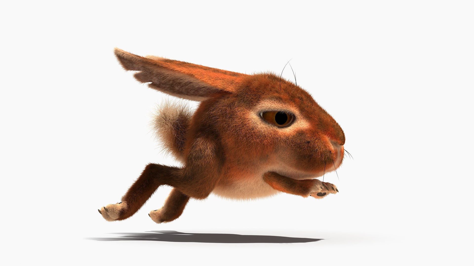 3d Model Of Rabbit Character Rig