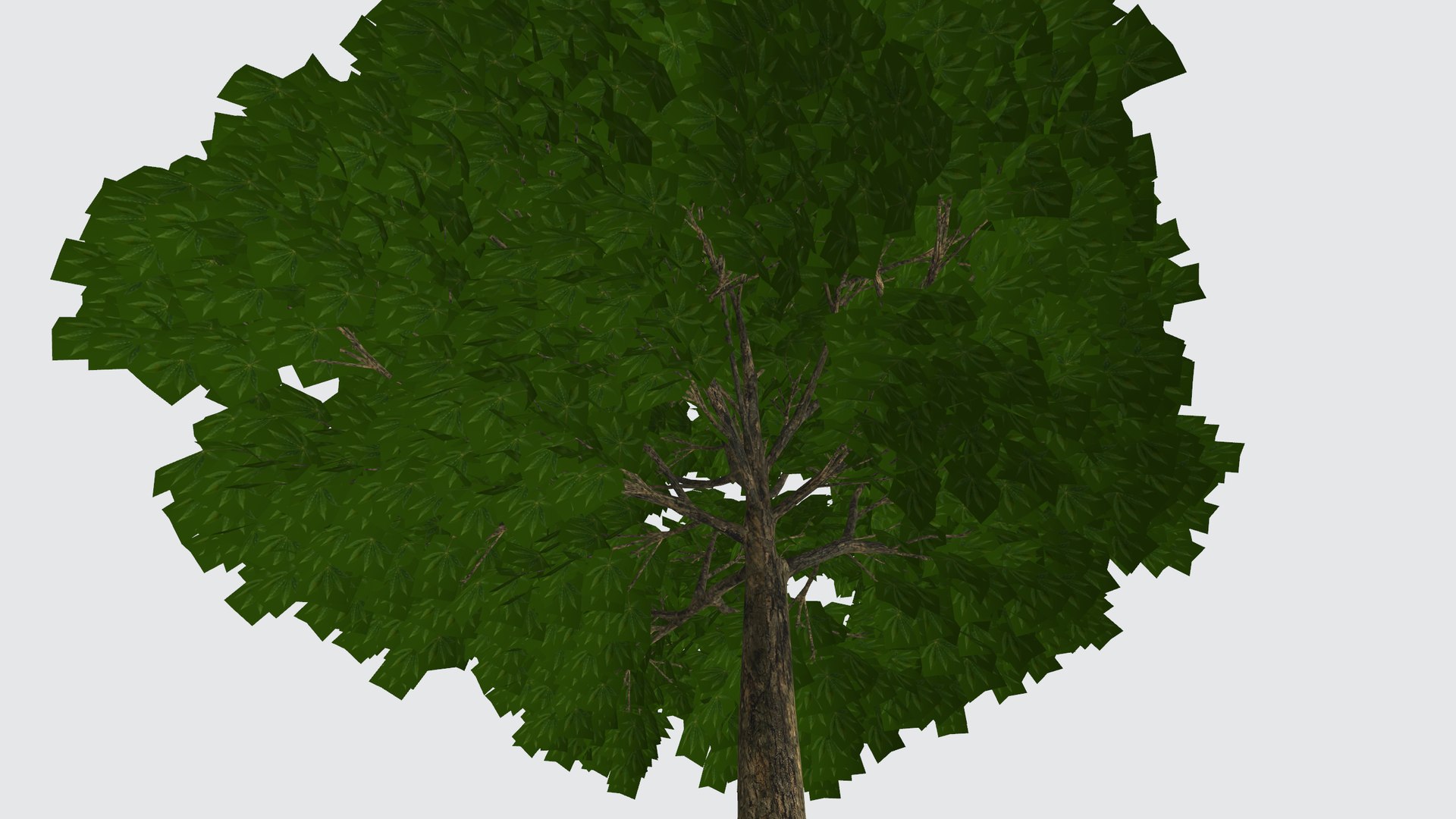 Medium-sized Evergreen Tree 3D Model - TurboSquid 1956118