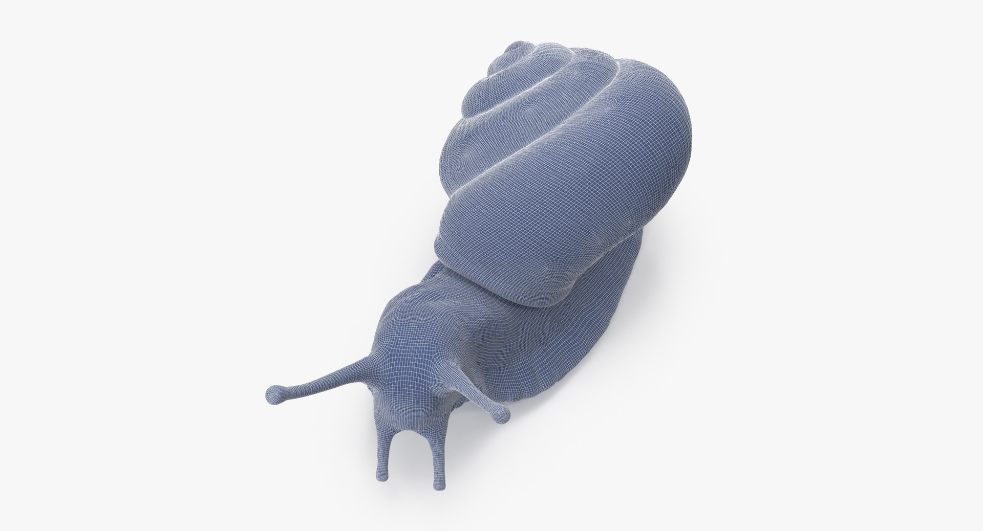 3d land snail 02 https://p.turbosquid.com/ts-thumb/EW/AF1kUP/satwoZyn/land_snail_02_wireframe_0006/jpg/1459180884/1920x1080/fit_q87/7bfe79ef029e8ff69a55606bda80911925067abc/land_snail_02_wireframe_0006.jpg