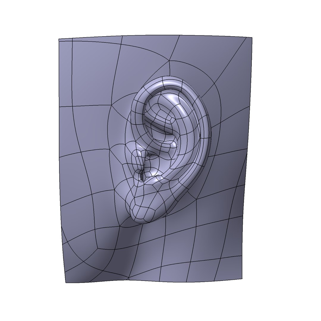 3D Left Ear Casual - TurboSquid 1252644