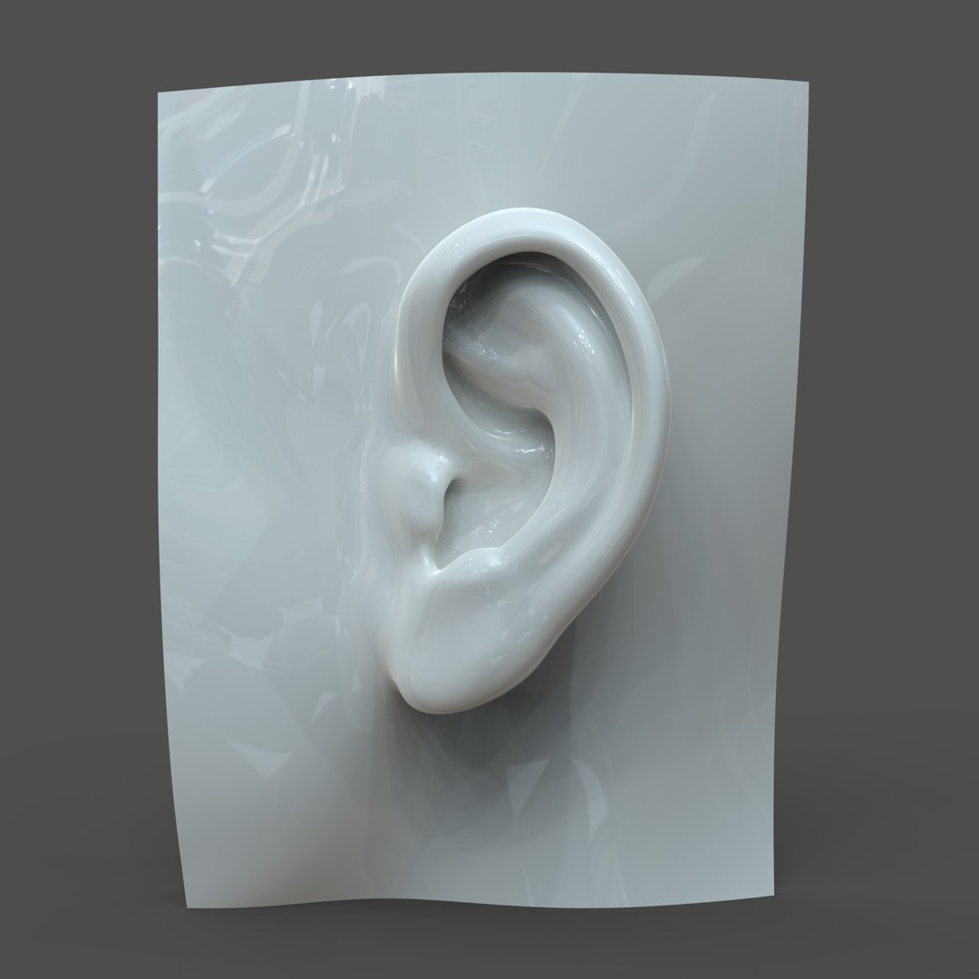 3D left ear casual https://p.turbosquid.com/ts-thumb/EW/JzCcAK/levN7rfP/sh_model1_detail0c.206/jpg/1518278665/1920x1080/fit_q87/b62718f06f72fb8a64eff79c7bb9d59698bdf0ee/sh_model1_detail0c.206.jpg