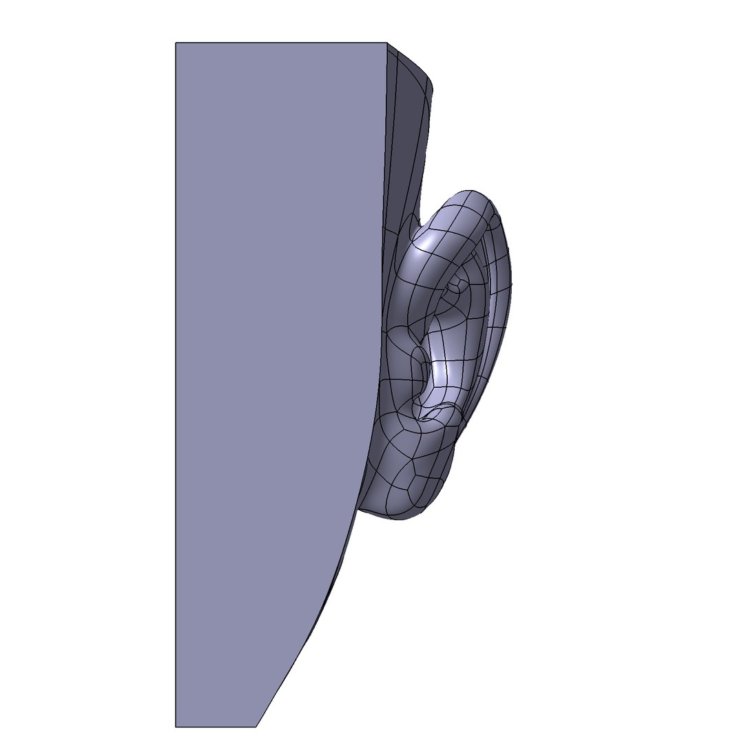 3D left ear casual https://p.turbosquid.com/ts-thumb/EW/JzCcAK/n1pdIitP/f1p1d0v1ear_view02/png/1518284763/1920x1080/fit_q87/237fb586466f522c66ea530e3f9f84093c8143b6/f1p1d0v1ear_view02.jpg