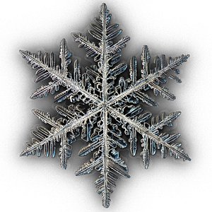 snowflake 3D model
