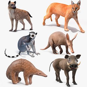 African Mammals Rigged for Cinema 4D Collection 3
