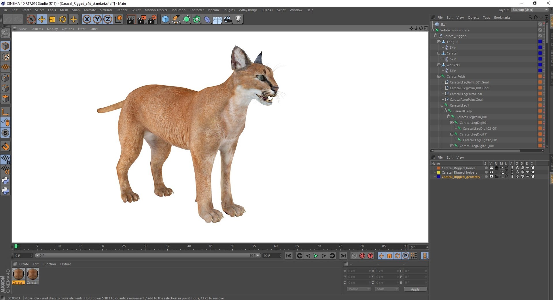 3D African Mammals Rigged for Cinema 4D Collection 3 https://p.turbosquid.com/ts-thumb/EW/RUNir8/95/rigged_african_mammals_collection_3_for_cinema_4d_080/jpg/1768133186/1920x1080/fit_q87/2c77f4ddebca9848c31ea20d8e9dc3e2764e7392/rigged_african_mammals_collection_3_for_cinema_4d_080.jpg