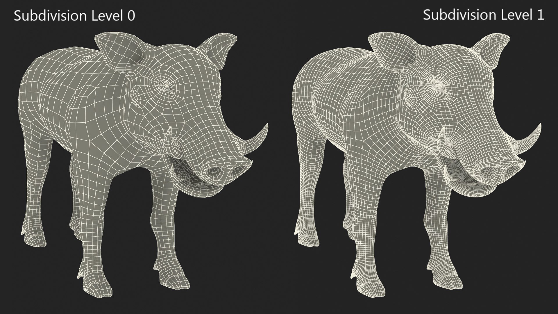 3D African Mammals Rigged for Cinema 4D Collection 3 https://p.turbosquid.com/ts-thumb/EW/RUNir8/Fv/rigged_african_mammals_collection_3_for_cinema_4d_045/jpg/1768133169/1920x1080/fit_q87/f537fb419cea208835c0e1eaa4ed6b4b5a36505a/rigged_african_mammals_collection_3_for_cinema_4d_045.jpg