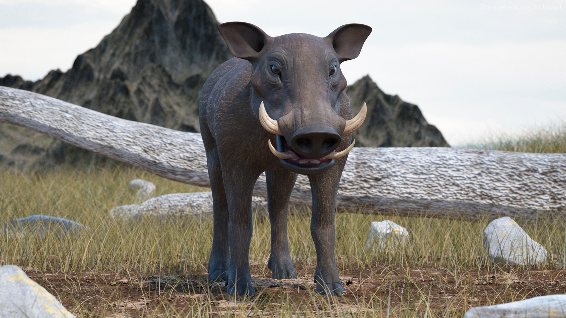 3D African Mammals Rigged for Cinema 4D Collection 3 https://p.turbosquid.com/ts-thumb/EW/RUNir8/pL/rigged_african_mammals_collection_3_for_cinema_4d_010/jpg/1768133151/1920x1080/fit_q87/4951c5715f064fe00aacf57c3d1fee6830c59f00/rigged_african_mammals_collection_3_for_cinema_4d_010.jpg