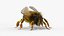 3D Honey Bee Fur Rigged For Blender model