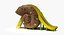 Slide Shell