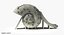 Slide Shell