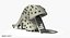Slide Shell