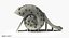 Slide Shell