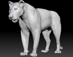 lion posed model