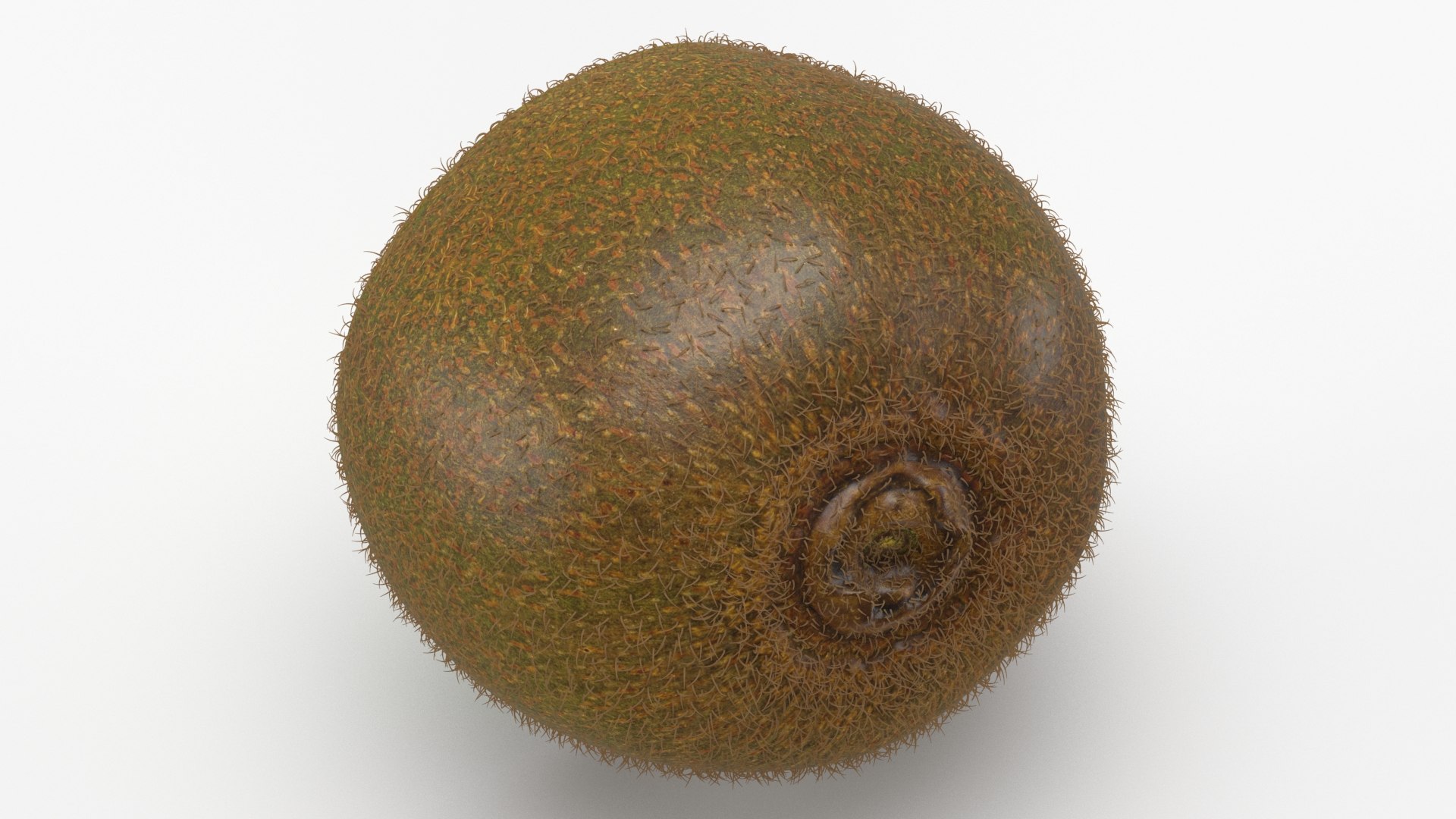 Kiwi with Fur Set 3D https://p.turbosquid.com/ts-thumb/EW/fQLxRN/2o/kiwihalf_b0033/jpg/1628061776/1920x1080/fit_q87/25a3ac4a4490bd3b9fb4cc38cee2b85954750db5/kiwihalf_b0033.jpg