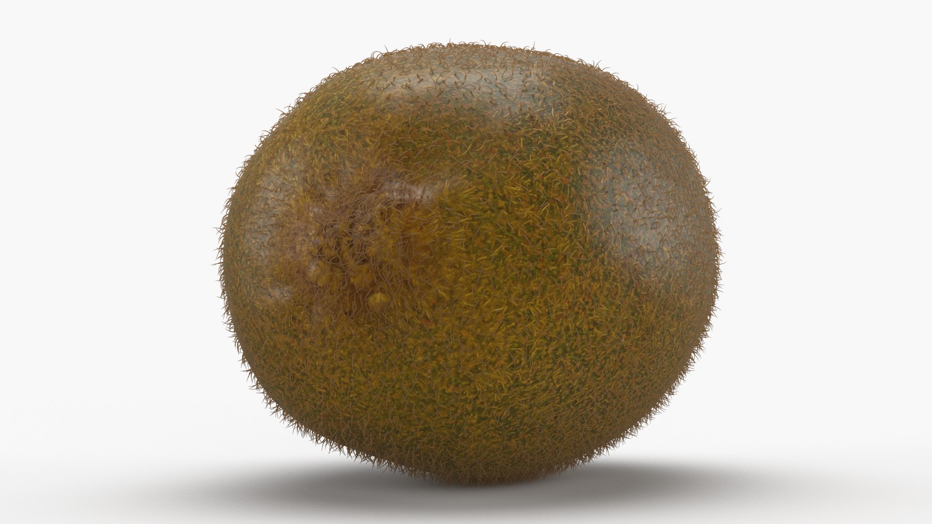 Kiwi with Fur Set 3D https://p.turbosquid.com/ts-thumb/EW/fQLxRN/HV/kiwi_b0003/jpg/1628061732/1920x1080/fit_q87/592d4dc2d4486187b0739a234785b6a3e9917845/kiwi_b0003.jpg