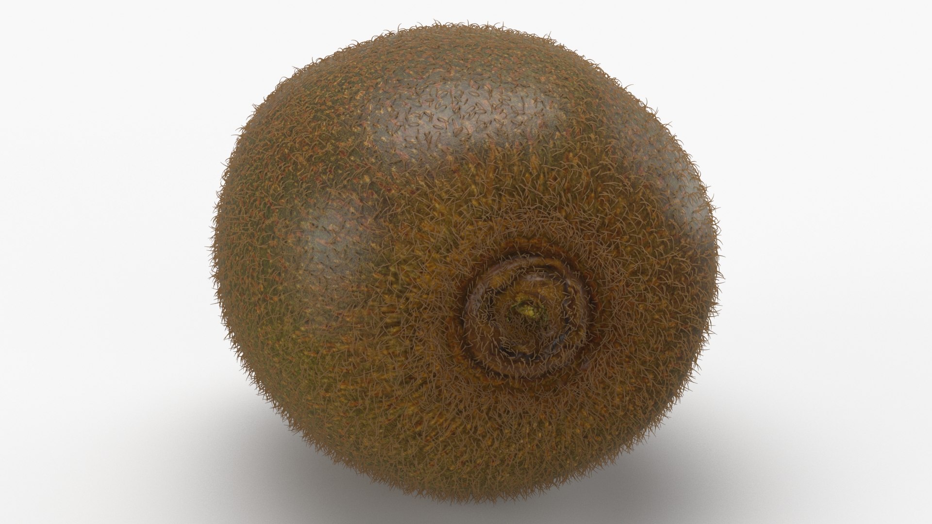 Kiwi with Fur Set 3D https://p.turbosquid.com/ts-thumb/EW/fQLxRN/ZM/kiwi_b0021/jpg/1628061733/1920x1080/fit_q87/80ddd9f8e5f674fa11ee7762334a45a3474d8406/kiwi_b0021.jpg