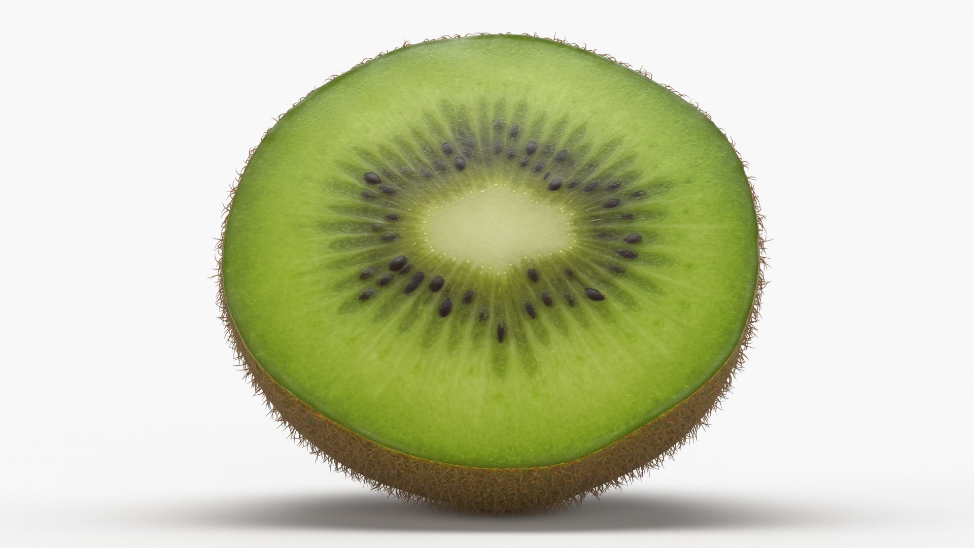 Kiwi with Fur Set 3D https://p.turbosquid.com/ts-thumb/EW/fQLxRN/mo/kiwihalf_b0003/jpg/1628061774/1920x1080/fit_q87/405d55c871108cdcf73651c915e6d0c1c5b127d6/kiwihalf_b0003.jpg