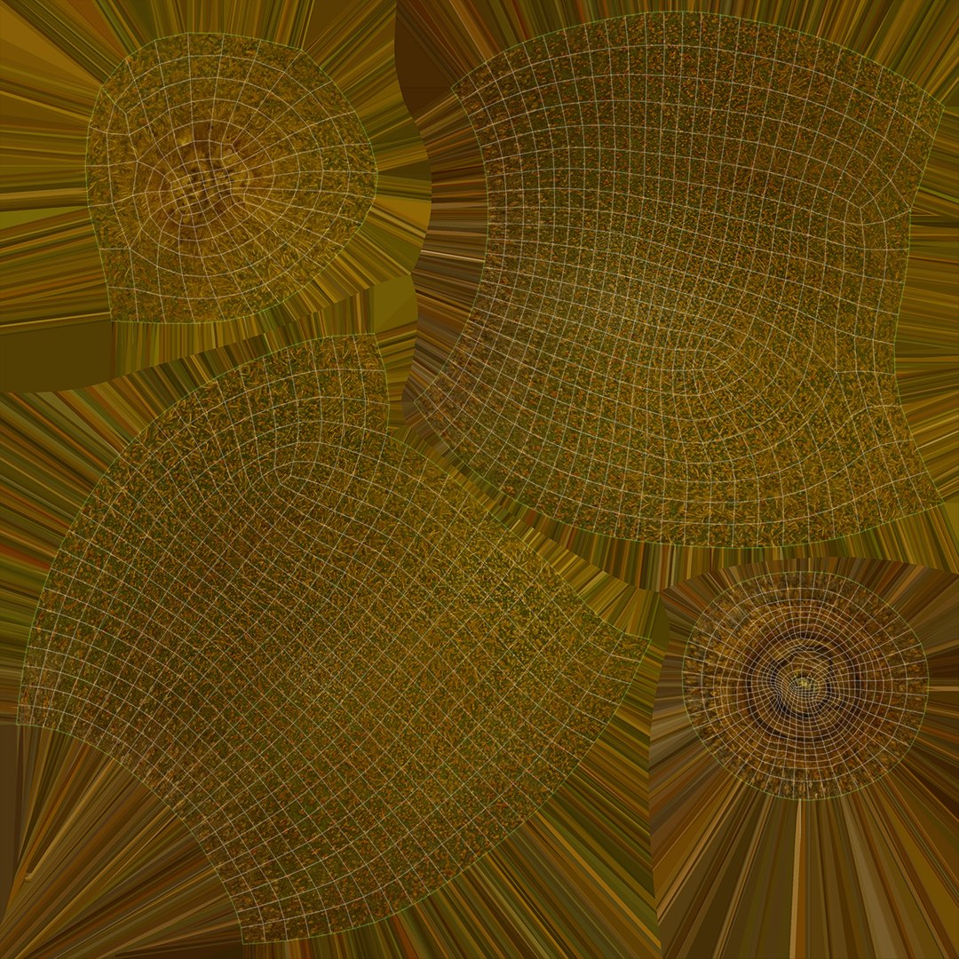 Kiwi with Fur Set 3D https://p.turbosquid.com/ts-thumb/EW/fQLxRN/oT/kiwi_f0004/jpg/1628061735/1920x1080/fit_q87/d3d19800d9aaf8a830def1d14ecfdb0752cfde70/kiwi_f0004.jpg