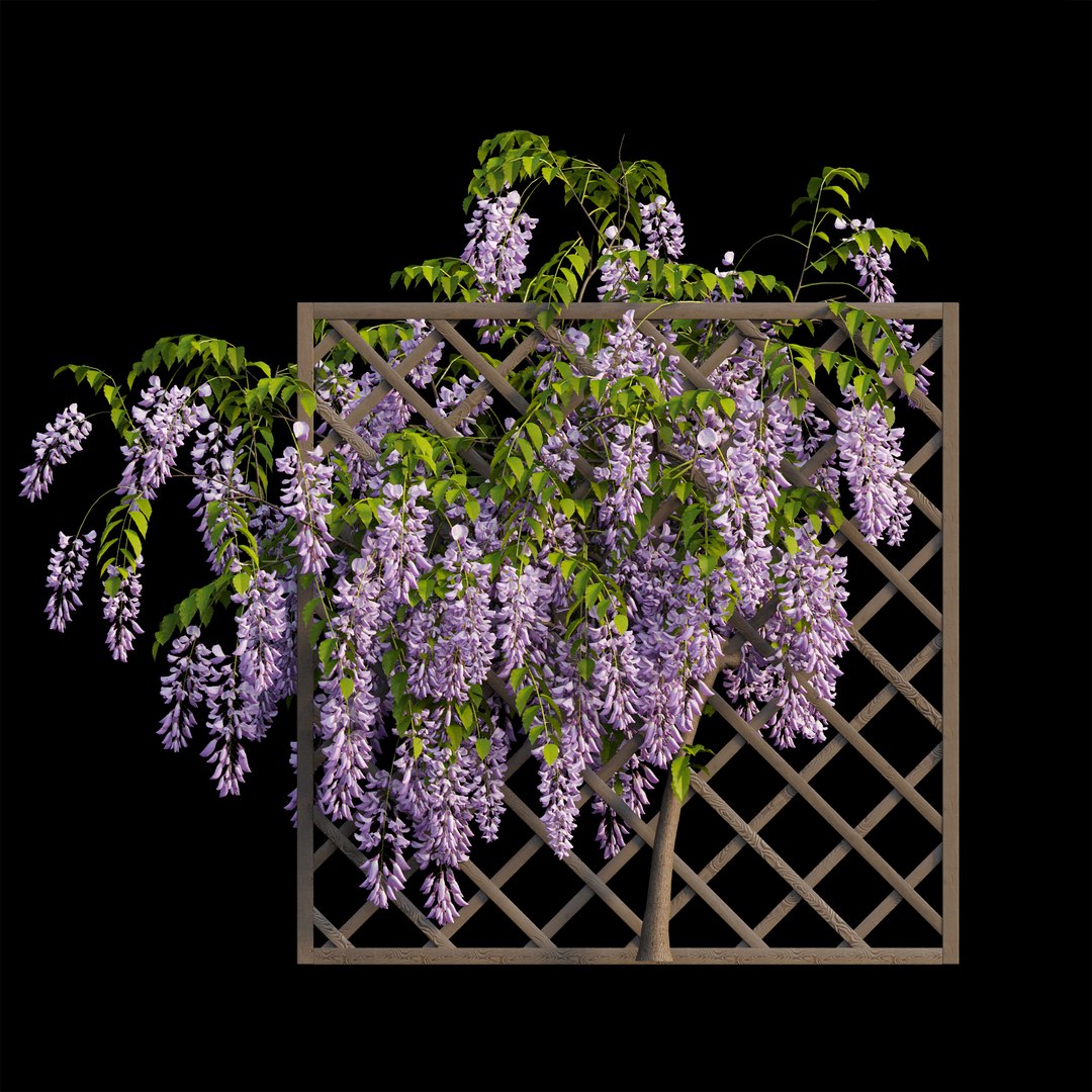 wisterial tree 02 3D model https://p.turbosquid.com/ts-thumb/EW/nAxekp/F9645kGA/view01/jpg/1587231204/1920x1080/fit_q87/0f3af9441664d8d3e45f107edeff78730b33166f/view01.jpg