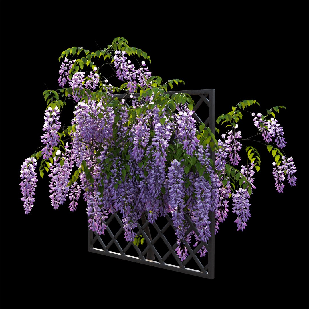 wisterial tree 02 3D model https://p.turbosquid.com/ts-thumb/EW/nAxekp/Ic1nrsQ5/view02/jpg/1587231204/1920x1080/fit_q87/5673feac958a9fe518cc7e327feb85ef407ad0fe/view02.jpg