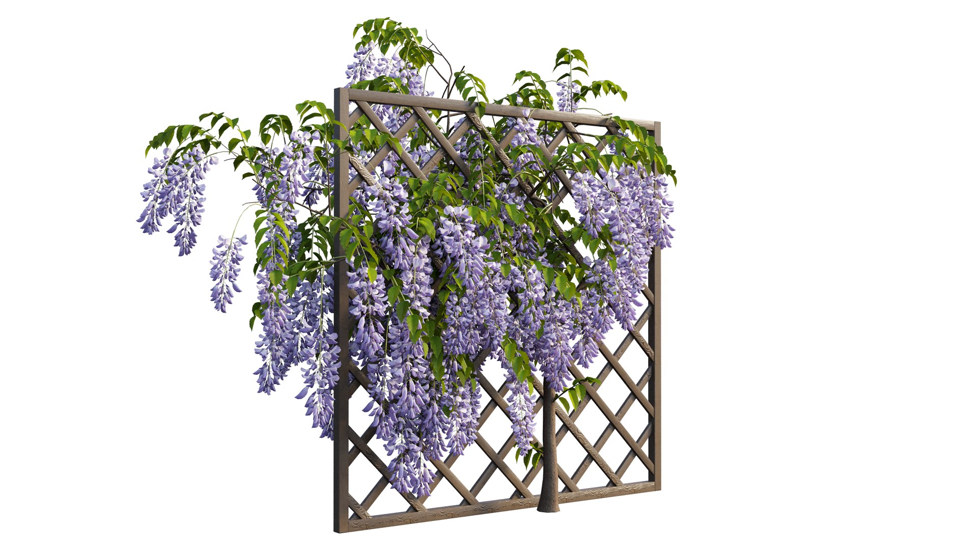 wisterial tree 02 3D model https://p.turbosquid.com/ts-thumb/EW/nAxekp/KcKAILLt/6_interactivelightmix/png/1603825918/1920x1080/fit_q87/011924d568c2d70a237ae004db21a693d001e980/6_interactivelightmix.jpg