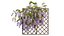 Wisterial tree 02