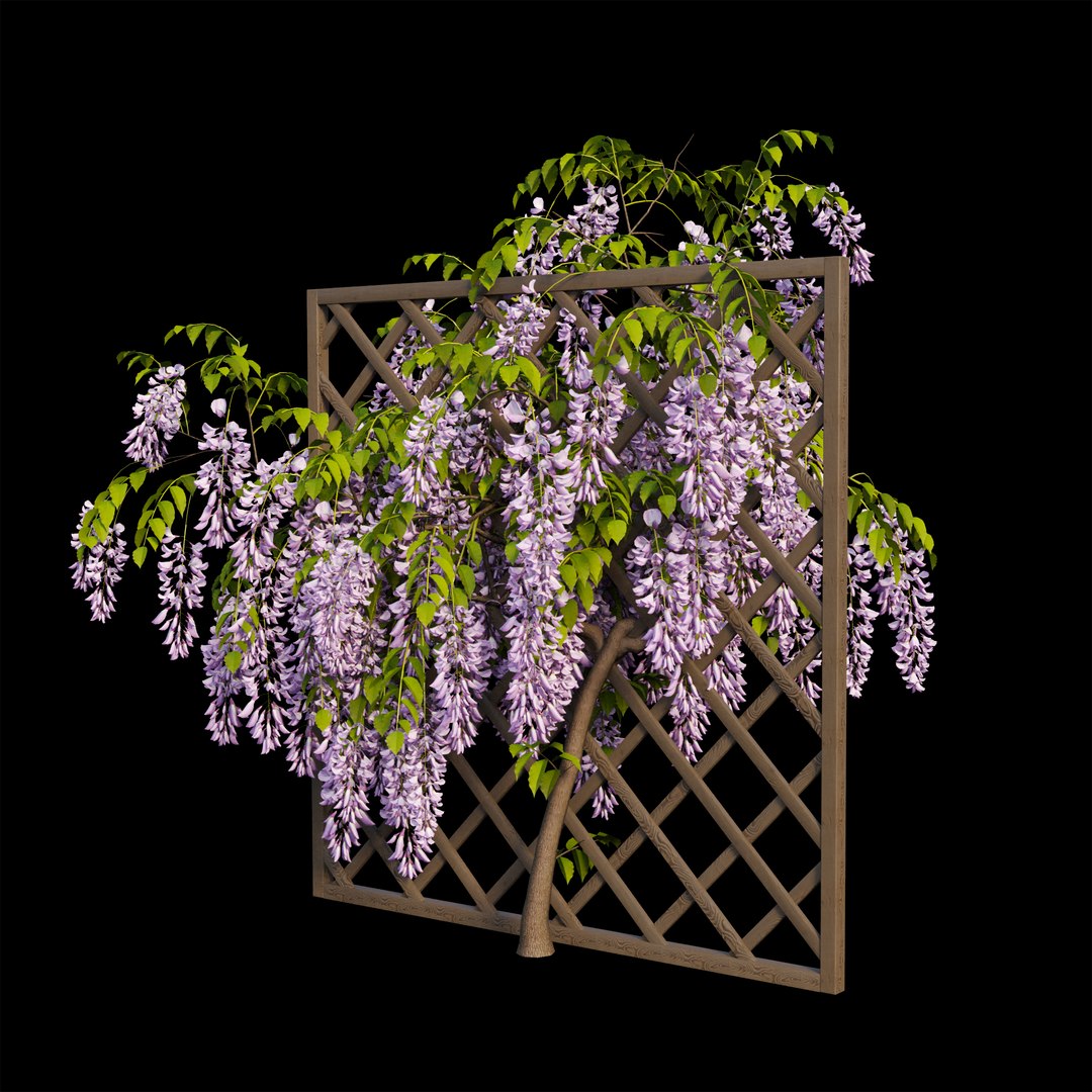 wisterial tree 02 3D model https://p.turbosquid.com/ts-thumb/EW/nAxekp/uxKDcJsh/view03/jpg/1587231204/1920x1080/fit_q87/1054677a9b3399def50872e5ccc20745979b25de/view03.jpg