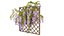 Wisterial tree 02