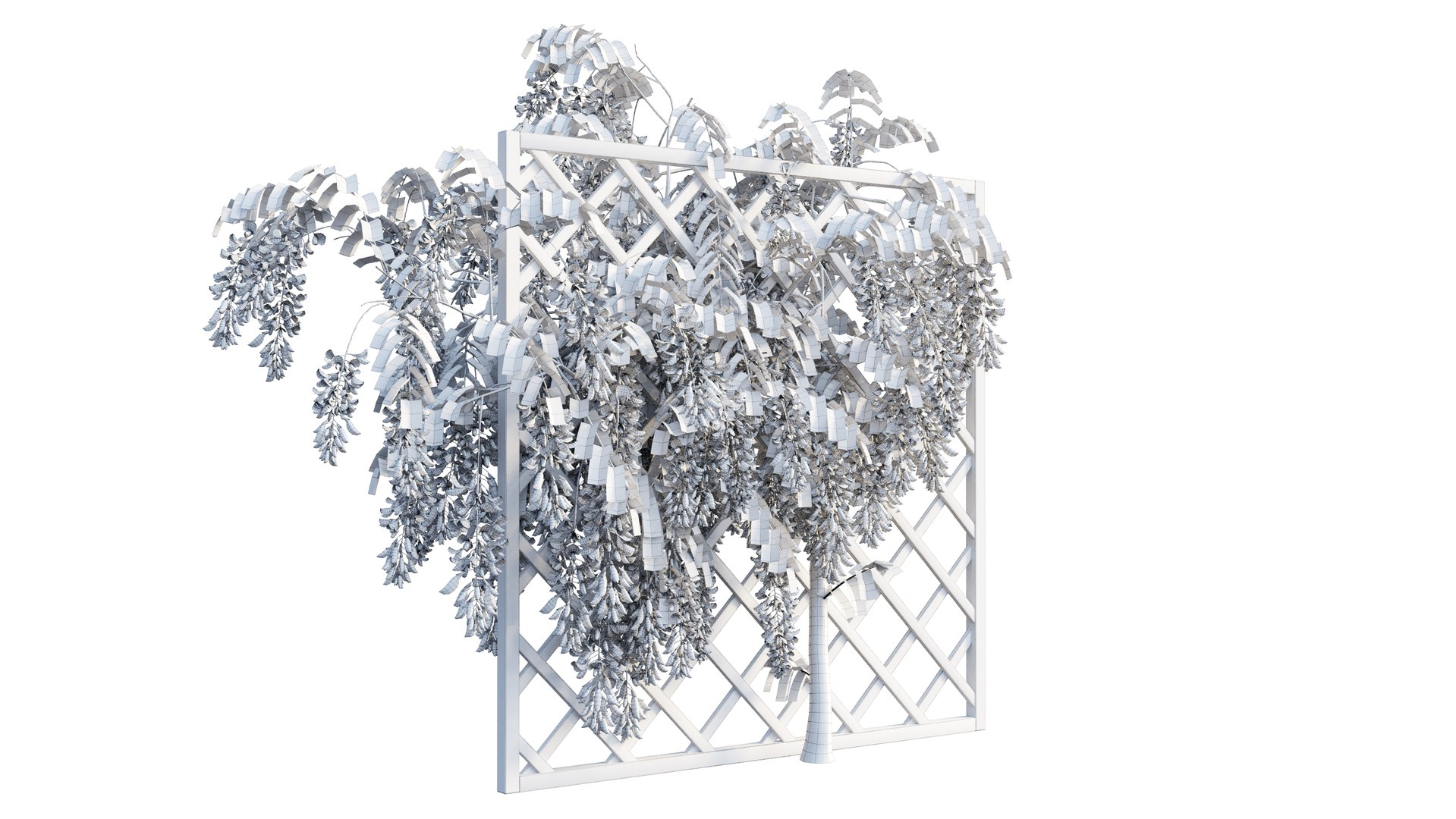 wisterial tree 02 3D model https://p.turbosquid.com/ts-thumb/EW/nAxekp/yE3YMSor/5_interactivelightmix/png/1603825917/1920x1080/fit_q87/41b5e514540c8f56b3c50675454ef41604c12f7e/5_interactivelightmix.jpg