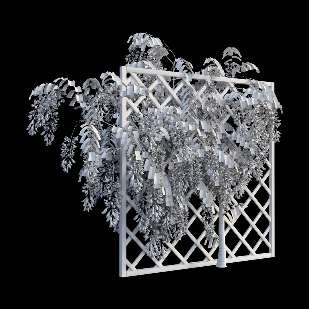 wisterial tree 02 3D model https://p.turbosquid.com/ts-thumb/EW/nAxekp/zF0g49JI/view06/jpg/1587231204/1920x1080/fit_q87/211e9b1062f7a5833460db8f65419f196ac09c28/view06.jpg