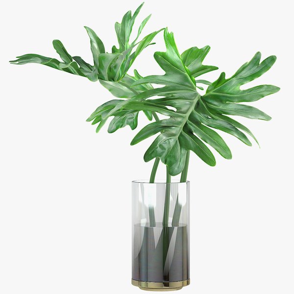 monstera leaves 3d model