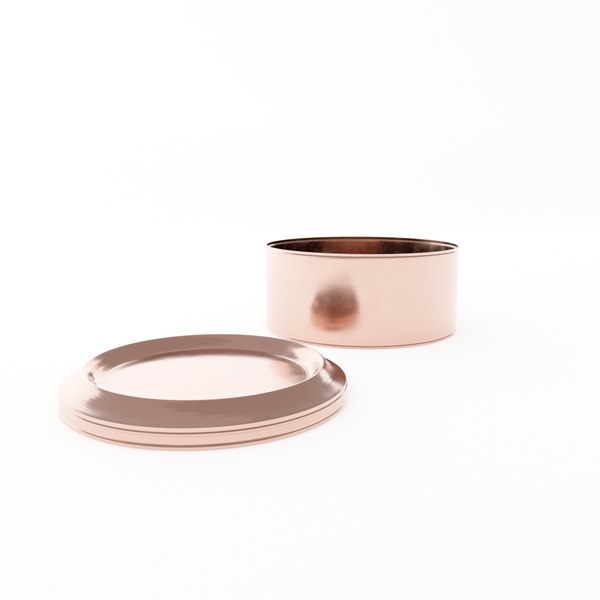 3D Small Flat Round Cake Cheesecake Tin Can TurboSquid 1984588