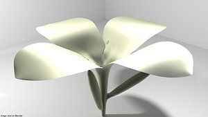 3D flower frangipani