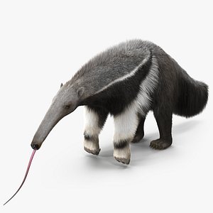 Anteater Standing Pose Fur 3D