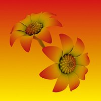 Animated Flower