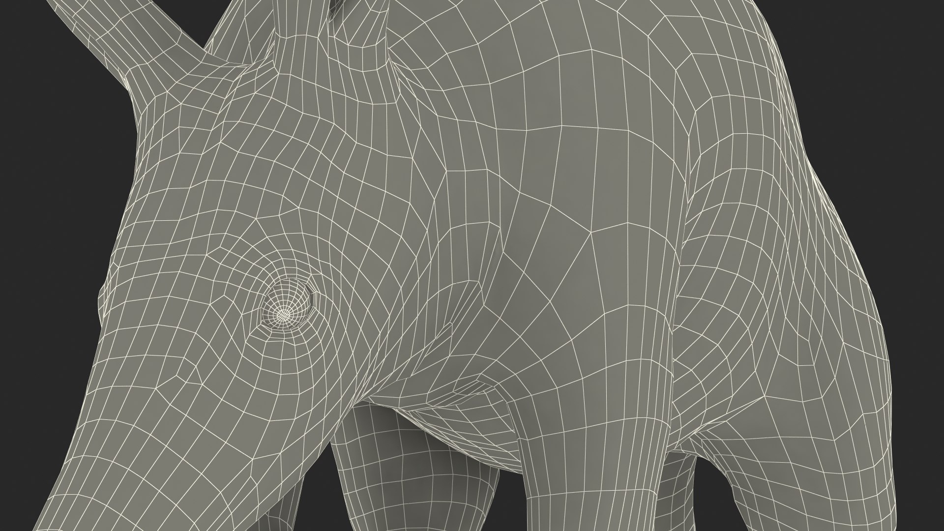 Nocturnal Mammal Aardvark Walking Pose Fur 3D model https://p.turbosquid.com/ts-thumb/EX/injDcf/FN/nocturnalmammalaardvarkwalkingposefurmb3dmodel030/jpg/1712187621/1920x1080/fit_q87/d6795ce410af1038543a07919da270a2c1921d6c/nocturnalmammalaardvarkwalkingposefurmb3dmodel030.jpg