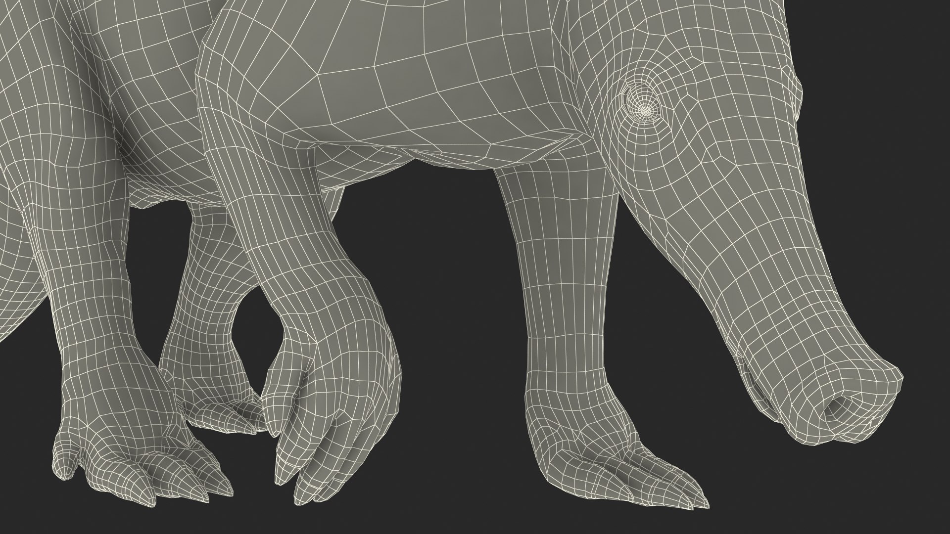 Nocturnal Mammal Aardvark Walking Pose Fur 3D model https://p.turbosquid.com/ts-thumb/EX/injDcf/Yg/nocturnalmammalaardvarkwalkingposefurmb3dmodel029/jpg/1712187617/1920x1080/fit_q87/09b23518657c0f988e9ecf2143186ddd2dcadfec/nocturnalmammalaardvarkwalkingposefurmb3dmodel029.jpg