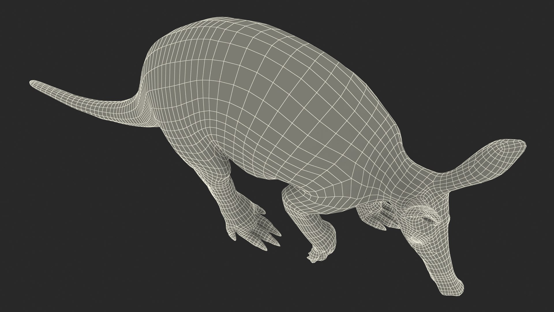 Nocturnal Mammal Aardvark Walking Pose Fur 3D model https://p.turbosquid.com/ts-thumb/EX/injDcf/eh/nocturnalmammalaardvarkwalkingposefurmb3dmodel027/jpg/1712187603/1920x1080/fit_q87/35dc2c4b3ece3ea8d3f22c6cb341b49f25d35aba/nocturnalmammalaardvarkwalkingposefurmb3dmodel027.jpg