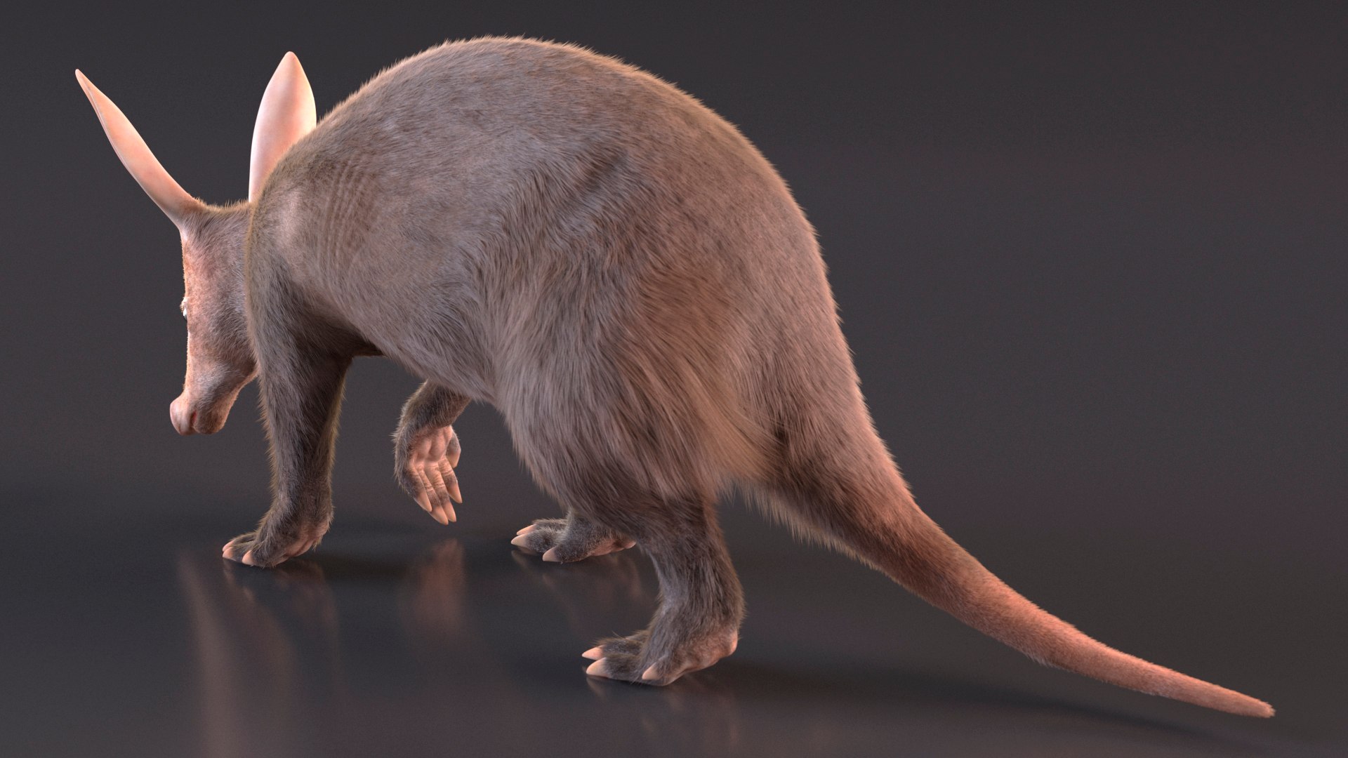 Nocturnal Mammal Aardvark Walking Pose Fur 3D model https://p.turbosquid.com/ts-thumb/EX/injDcf/s3/nocturnalmammalaardvarkwalkingposefurmb3dmodel009/jpg/1712187509/1920x1080/fit_q87/552daabc7e1d762e2123b02a7cd74d3968fe420d/nocturnalmammalaardvarkwalkingposefurmb3dmodel009.jpg